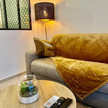 Cosy, Calme Et Climatisé Proche Centre